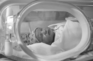 孕晚期见红伴有宫缩多久去医院